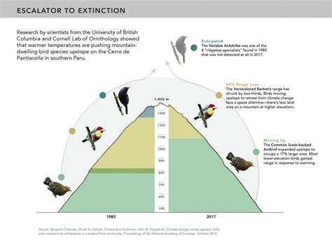 The Escalator To Extinction Communicating Science 2018w111