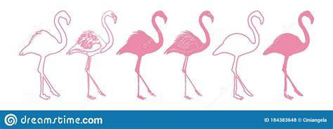 Flamingo Set Isolated Silhouette Illustration Stock Vector