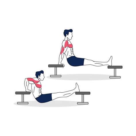Bench Dips Simply Fitness