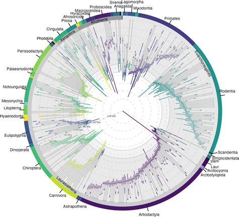 Humans Ancestors Survived The Asteroid Impact That Killed The