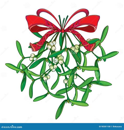 Vector Bunch With Outline Mistletoe And Ornate Red Bow With Ribbon