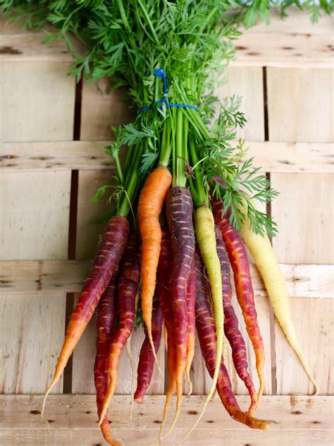 History And Health Benefits Of Heirloom Carrot Seed Pioneer Thinking