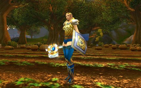 Warcraft Looks Mixed Mogging Outfit The Golden Lioness
