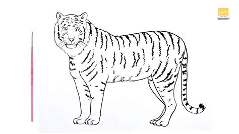 Tiger Drawing Easy Ii How To Draw A Tiger Drawing Step By Step Ii Part