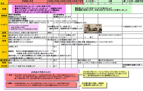 骨関節疾患のリハビリテーション｜慶應義塾大学病院 KOMPAS
