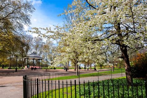 There are pitches for team games, tennis courts, tracks for horse riding and a spectacular. Hyde Park - Bilder und Stockfotos - iStock