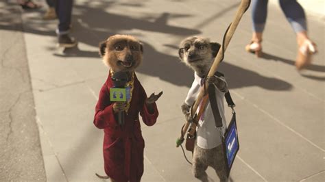 Meerkats Put Aussies To The Test In New Compare The Market Tvc Bandt