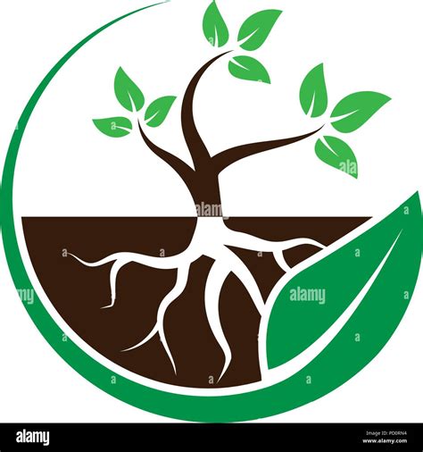 Plant With Root In A Circle Leaf Logo Design Concept Vector Stock