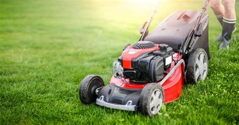 Best Time To Mow Your Lawn The Science Behind Grass Cutting