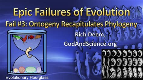 Haeckel formulated his theory as such: Failures of Evolution: Phylogeny Recapitulates Ontogeny ...