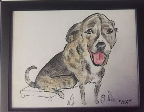 Shamrock Dog Portraits Humanoid Sketch Shamrock