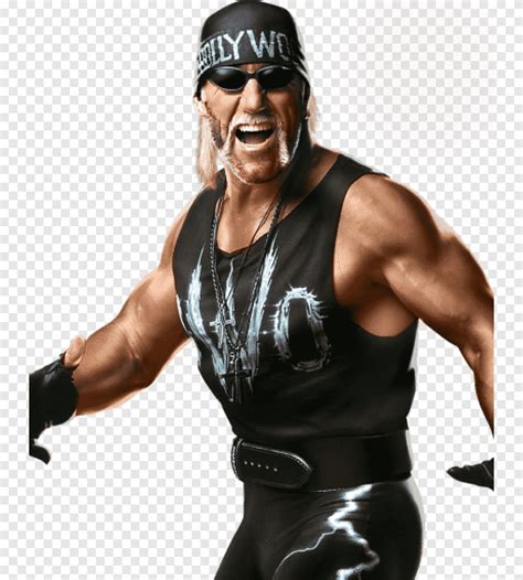 Hulk Hogan Wwe K Wwe Superstars Wcw Vs Nwo World Tour New World