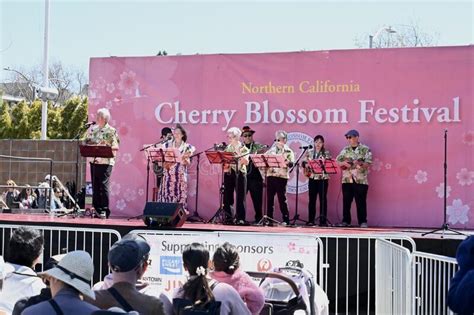 Cherry Blossom Festival 2023 San Francisco 30 Editorial Stock Image