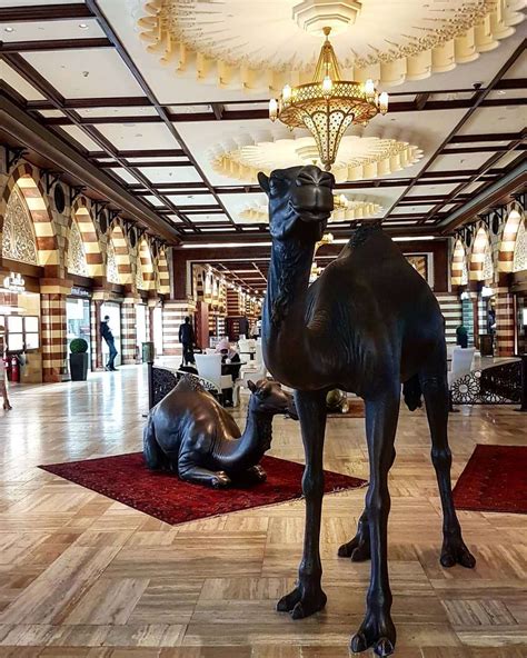 Indoor Decoration Large Life Sized Camel Statues For Sale