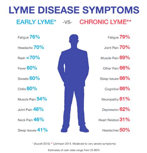 Lyme Disease Diagnosis And Treatment Igenex Tick Talk