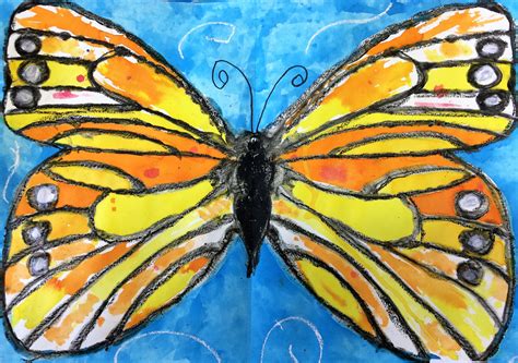 Butterfly Drawing Ideas Using Oil Pastels Drawing With Crayons