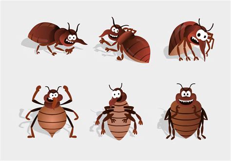 Bed Bug Cartoon Character Vector 134157 Vector Art At Vecteezy