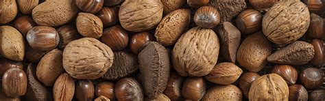 The cashew tree is a tropical evergreen tree that. Tree Nuts - Produce Blue Book