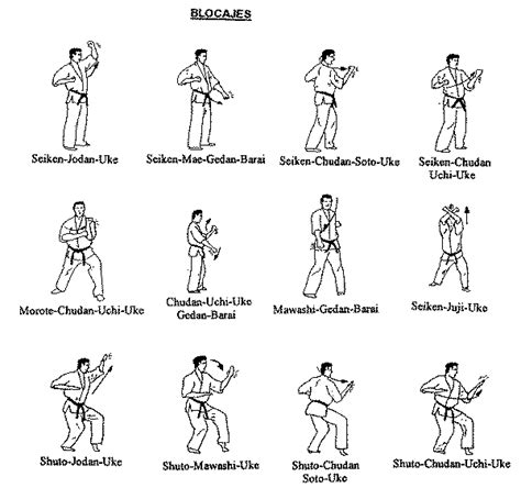 Karate Kick Names For Japnes And Block Name And Stance Name Anil Karate