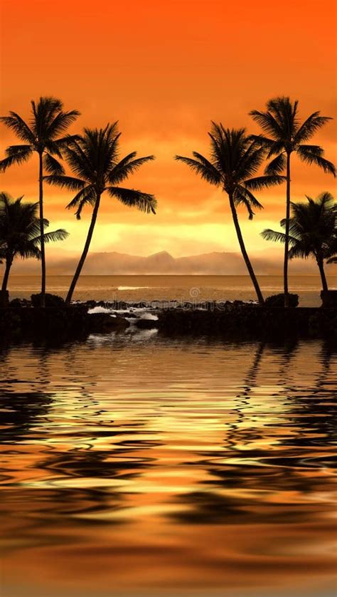 Tropical Sunset Stock Photo Image Of Freedom Background 4113690