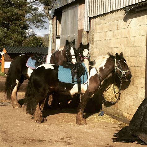 Eastmoors Forest Rides St Leonards Atualizado 2023 O Que Saber