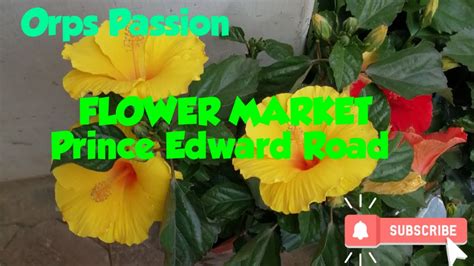 Flower Market Prince Edward Road Youtube