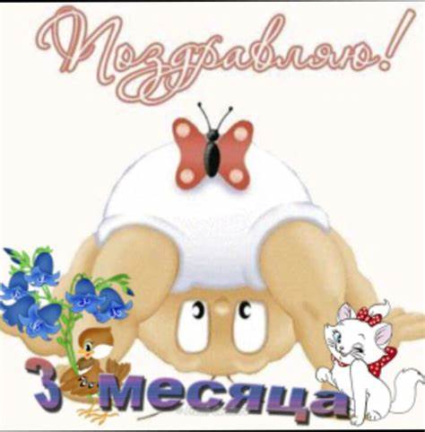 Как я похудела за два месяца на 30 кг