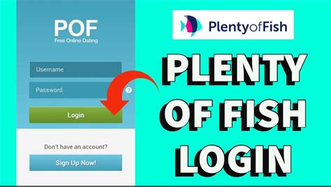 What Is POF How Does Plenty Of Fish Work TechPlanet