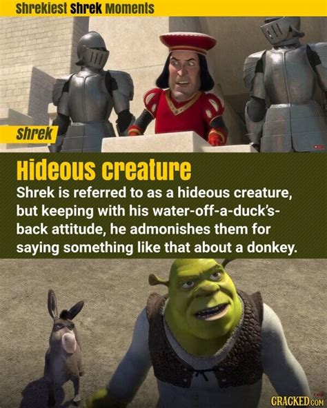 15 Shrekiest Shrek Moments From Shrek