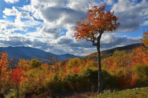 Foliage At Its Best Kancamagus Highway North Conway Traveller
