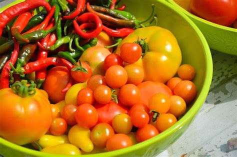 How To Grow Perfect Peppers And Tomatoes In A 5 Gallon