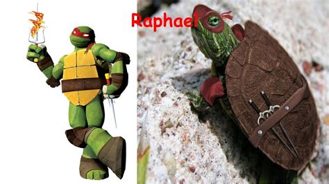 Tmnt 2012 In Real Life Teenage Mutant Ninja Turtles In Real Life