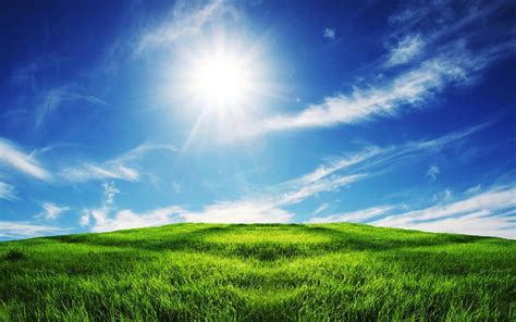 Sunny Field Sun Grass Wind Sky Clouds Daylight Green Bright