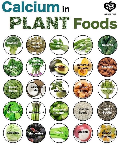 Typically it's a fairly simple process to source vitamin b12 foods for vegetarians, as the diet allows for the consumption. Calcium Foods | Food Tip Pics | Pinterest | Food, Vegans ...