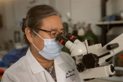 Hui Lin Pan Laboratory Md Anderson Cancer Center