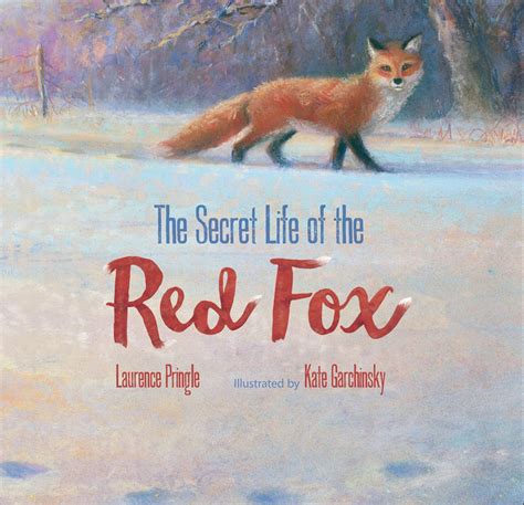 15 Childrens Books About Foxes Page 2 Of 3 Petpress