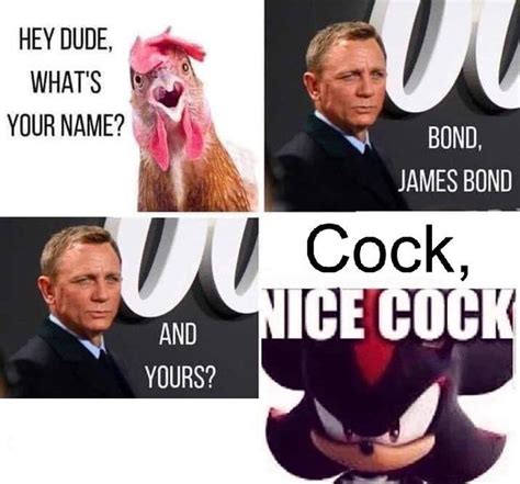 Nice Cock Know Your Meme
