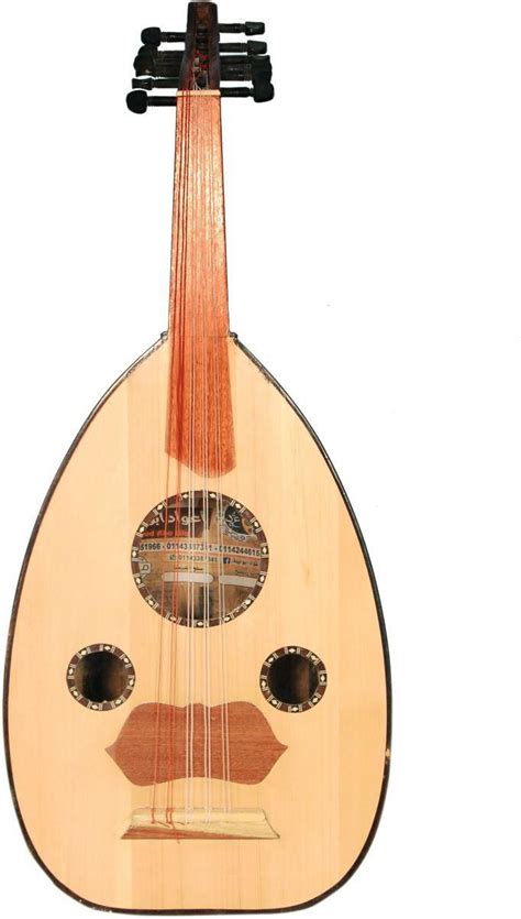 Musical instrument for beginners price from souq in Saudi Arabia - Yaoota!