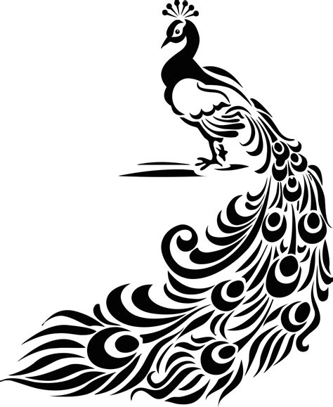 Peacock Vector Free Vector cdr Download - 3axis.co