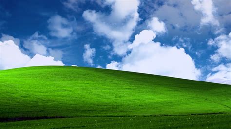 Download Microsoft Windows Xp Bliss Wallpaper Animated By