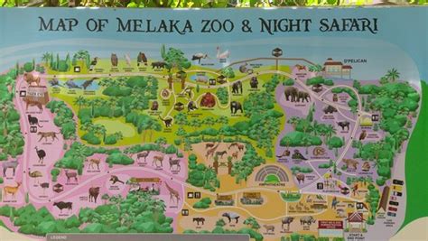 Located 13km outside malacca city in ayer keroh, it has over 1,200 animals of 200 different species. 2020年 マラッカ動物園へ行く前に!見どころをチェック - トリップアドバイザー