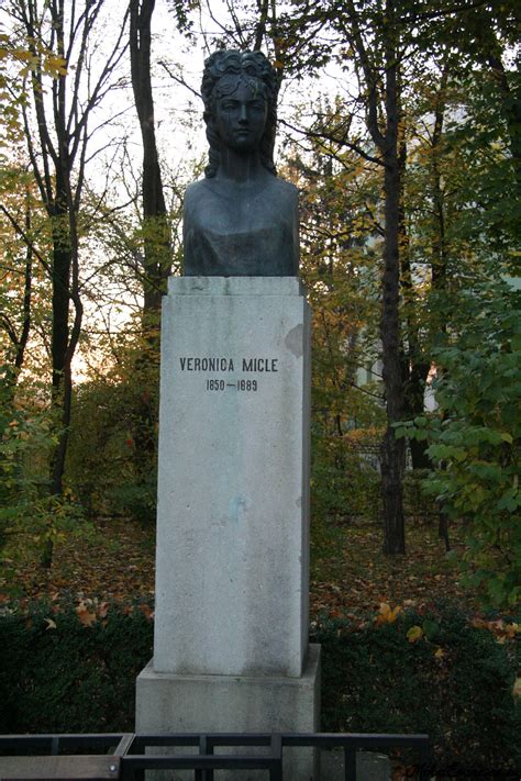Stimate dle inginer, in fotografiile respective nu este eminescu. Fotografii Mihai Eminescu