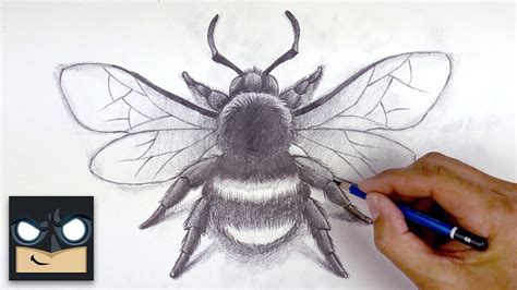 How To Draw A Bumble Bee Sketch Sunday Step By Step Çocuk