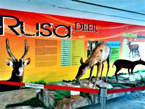 Kamus besar dari kambing gurun dalam bahasa indonesia. Muzium Alam Semula Jadi, Putrajaya