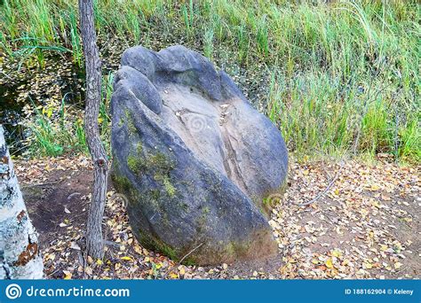 Large Grey Stone Boulders In The Forest Among Tree Trunks In Autumn