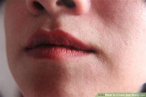 How To Create Bee Stung Lips 6 Steps With Pictures Wikihow