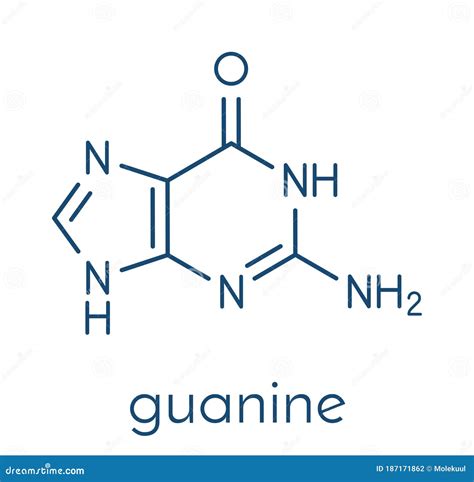Guanine G Purine Nucleobase Molecule Base Present In Dna And Rna Skeletal Formula Stock