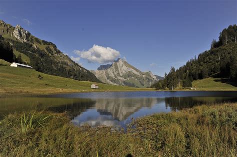Sun, 08 aug 2021 09:30:00 +0200 schönengrund das bergrestaurant lädt zur stärkung bevor wir über den grat wandern und dann rechts hinunter zur. Unterwasser - Gräppelensee - Windenpass -Schwägalp ...