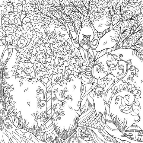 Trees Coloring Books Adultcoloringbookz