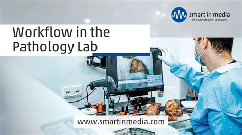 Workflow In A Pathology Lab From Sample To Diagnosis Youtube